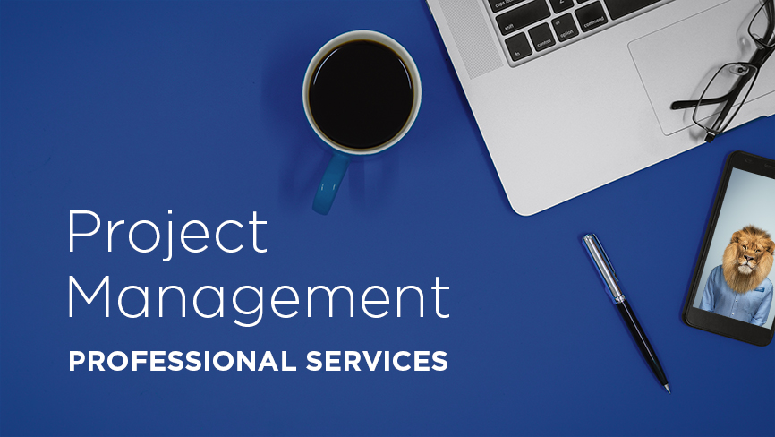 Project Management Professional Services