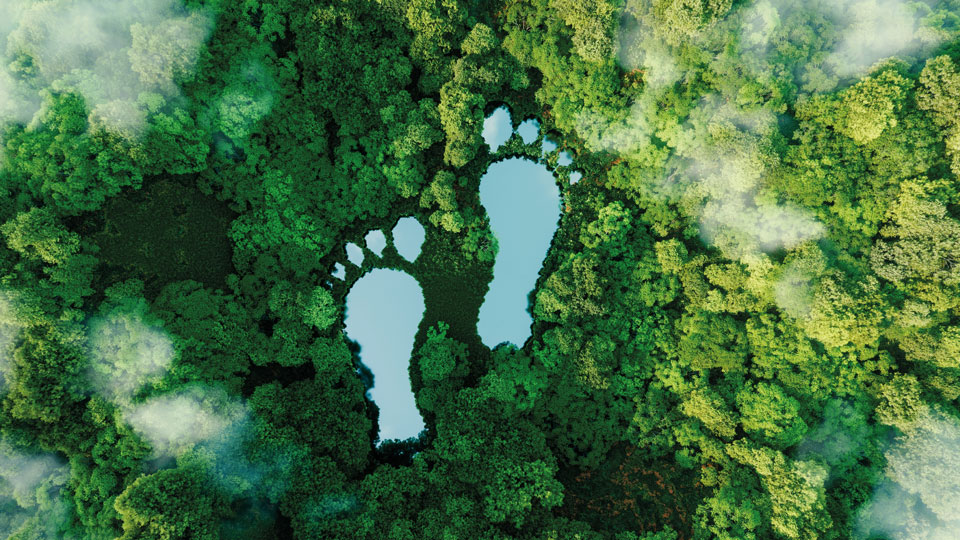 Riesiger, mit Wasser gefüllter Abdruck eines Fußpaares inmitten üppiger, grüner Vegetation