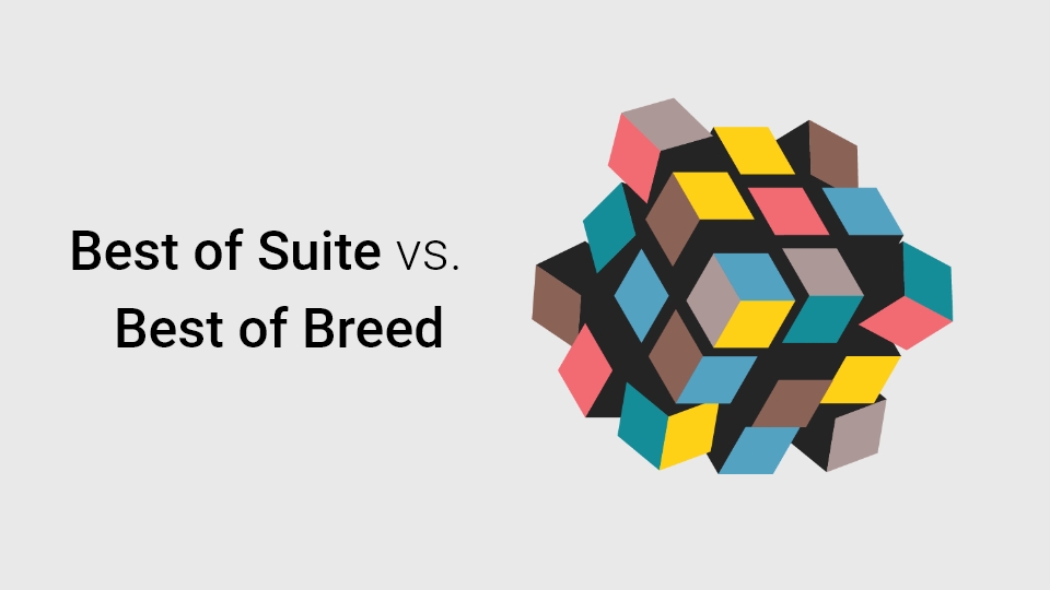 	Mehrfarbiger und mehrteiliger Würfel als Visualisierung für Best of Suite vs. Best of Breed
