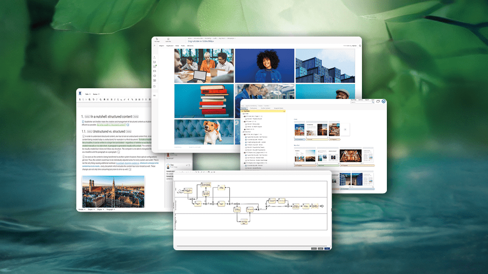 Xpublisher Website Keyvisual mit Blättern und Wasser im Hintergrund sowie vier Screenshots, die Funktionalitäten der Softwareprodukte zeigen