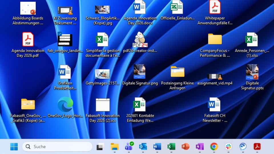 Screenshot eines Desktops mit vielen Dateien